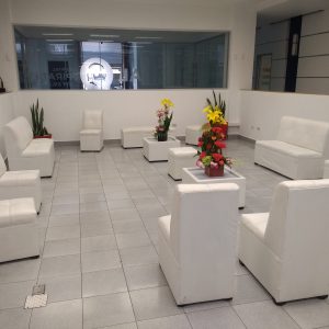 Renta de Salas Lounge en Toluca, Metepec, Lerma (14)
